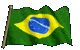 Exhibitions in Brazil